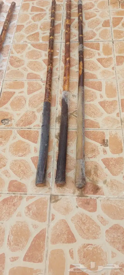 عصي مزمار نوع لوز وخرنوب مصري وعصي قصب مصري وعصي بومب هندي م 11