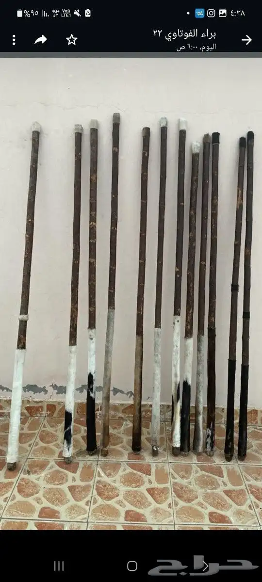 عصي مزمار نوع لوز وخرنوب مصري وعصي قصب مصري وعصي بومب هندي م 9