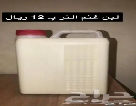 حليب غنم وسمن برى 2