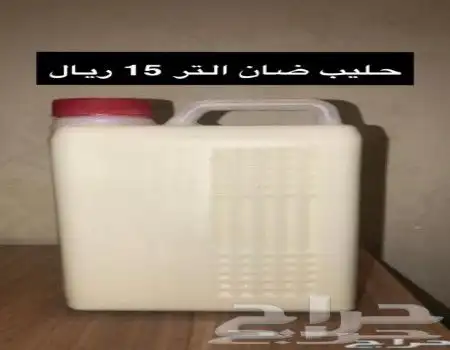 حليب غنم وسمن برى 1