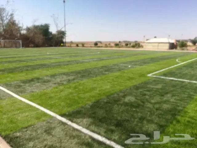انجيله صناعية للملاعب 6