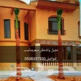 لقلع وترحيل وتوريد وخرس النخيل العربي والواشنطني واشجار 2