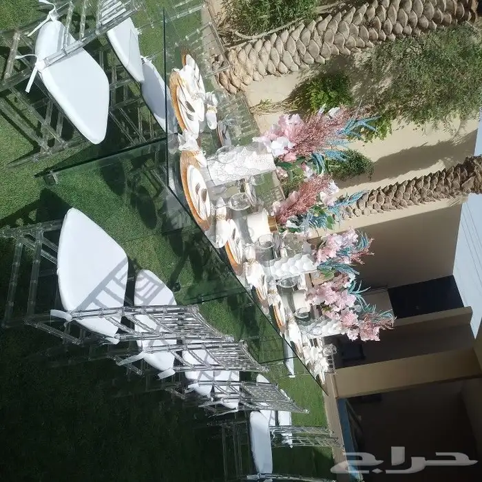 كوش ملكه استقبال طولات طعام سماعه 4