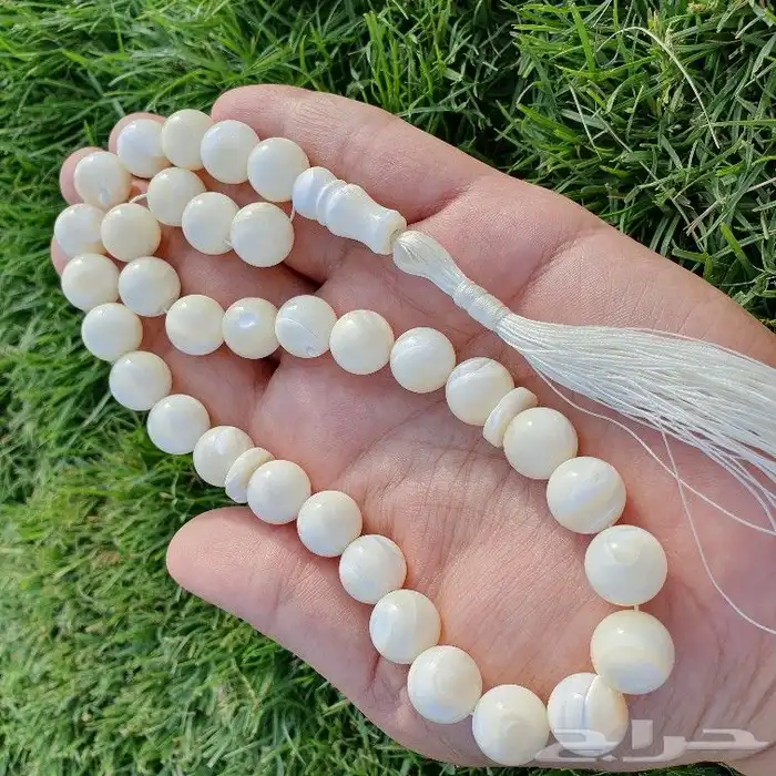 سبحة صدف بحري طبيعي حجم راهي نادر 0