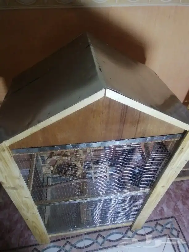 قفص خشب للكناري والحسون واقفاص لجميع انواع الطيور الزينه 7