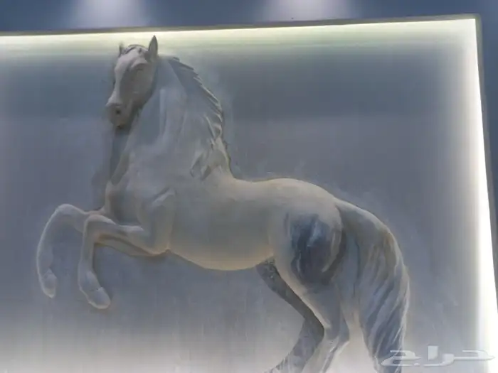 نحات متخصص ورسام ثلاثي الأبعاد 5