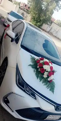 تشريع سيارات عرسان 0