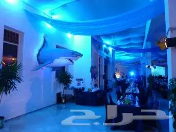 نحات متخصص ورسام ثلاثي الأبعاد 26