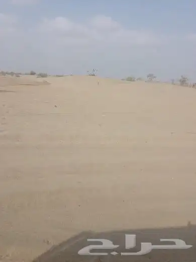 دركتل للايجار تسوية مزارع واراضي صبياء بيش جا 2