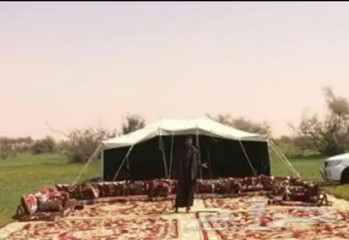 قهوجين وصبابين رجال ونساء 26