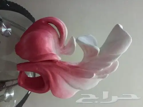 نحات متخصص ورسام ثلاثي الأبعاد 34