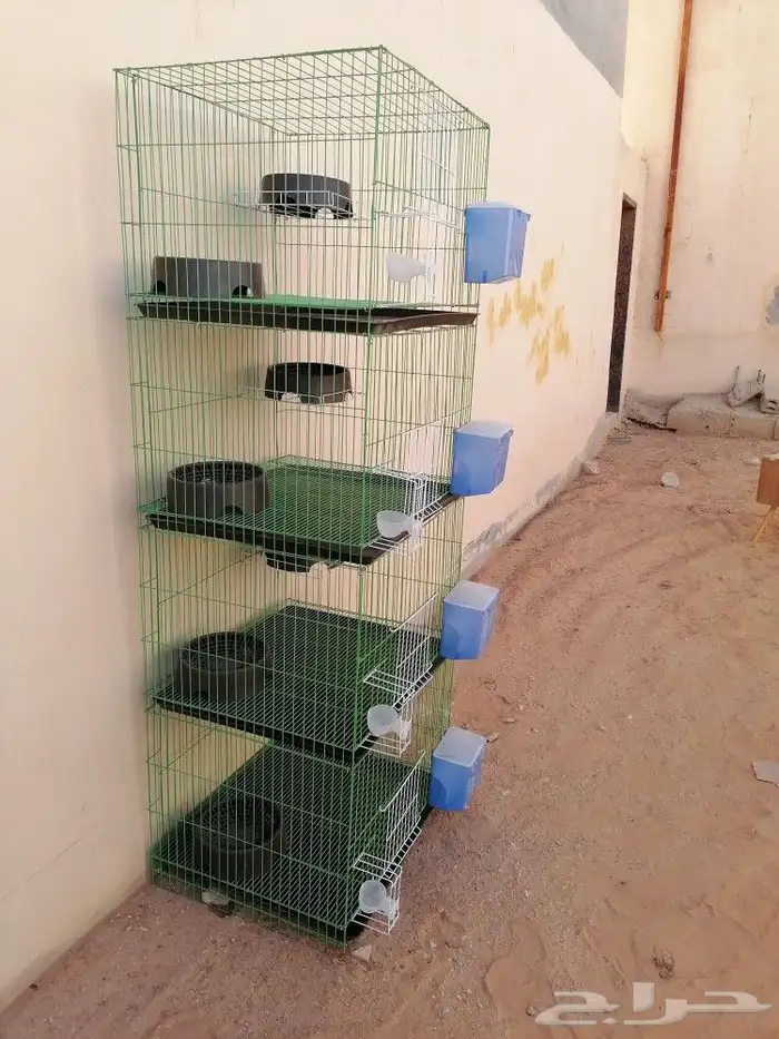 محاكر حمام وصوص دجاج 2