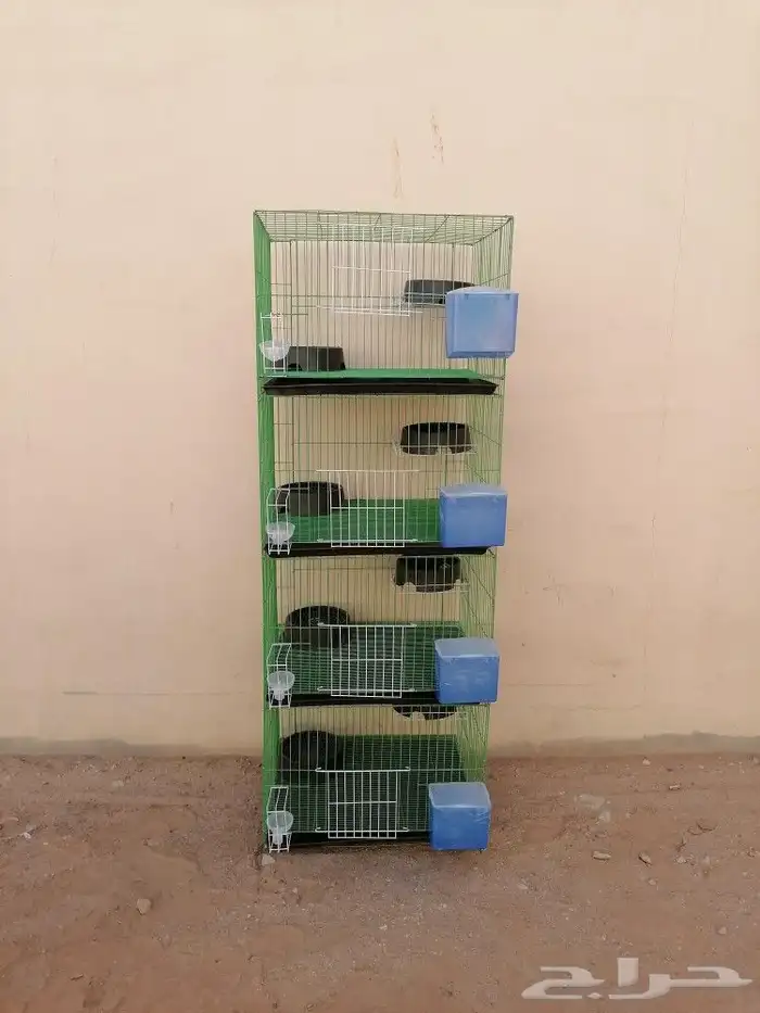 محاكر حمام وصوص دجاج 7