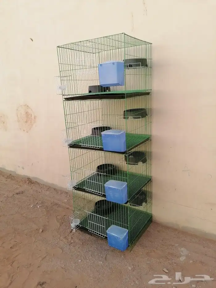 محاكر حمام وصوص دجاج 4