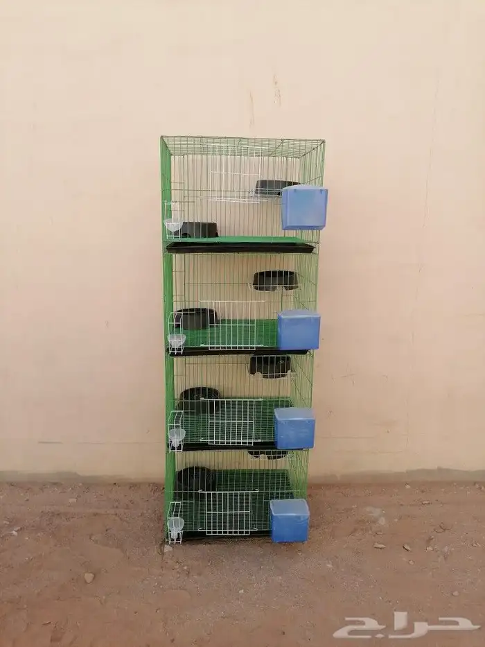 محاكر حمام وصوص دجاج 8