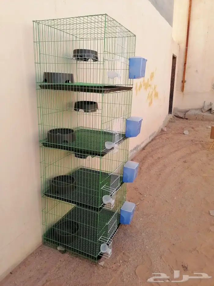 محاكر حمام وصوص دجاج 1