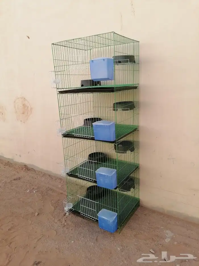 محاكر حمام وصوص دجاج 5