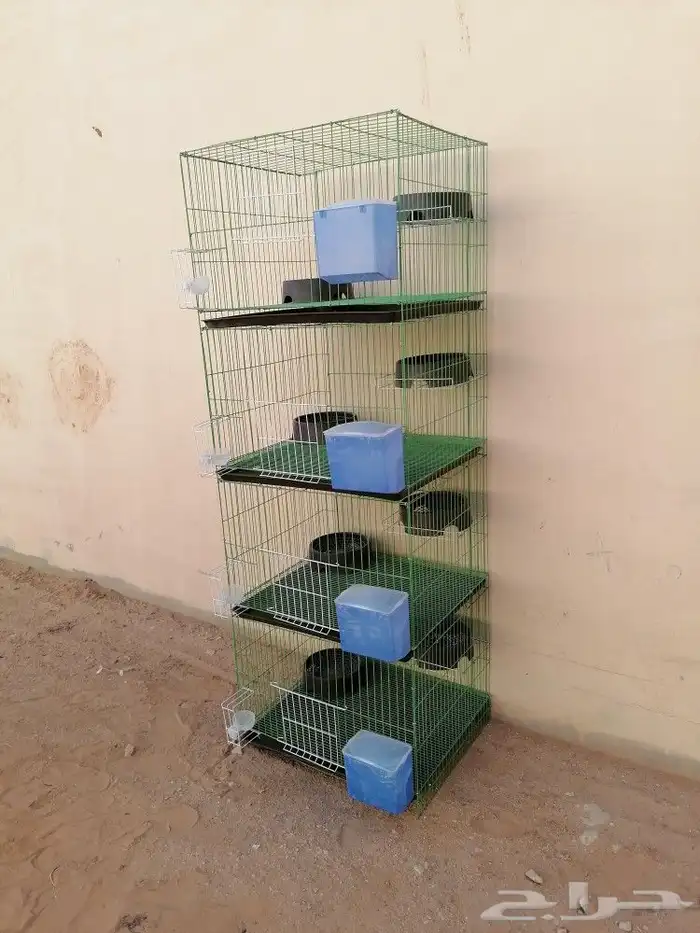 محاكر حمام وصوص دجاج 0