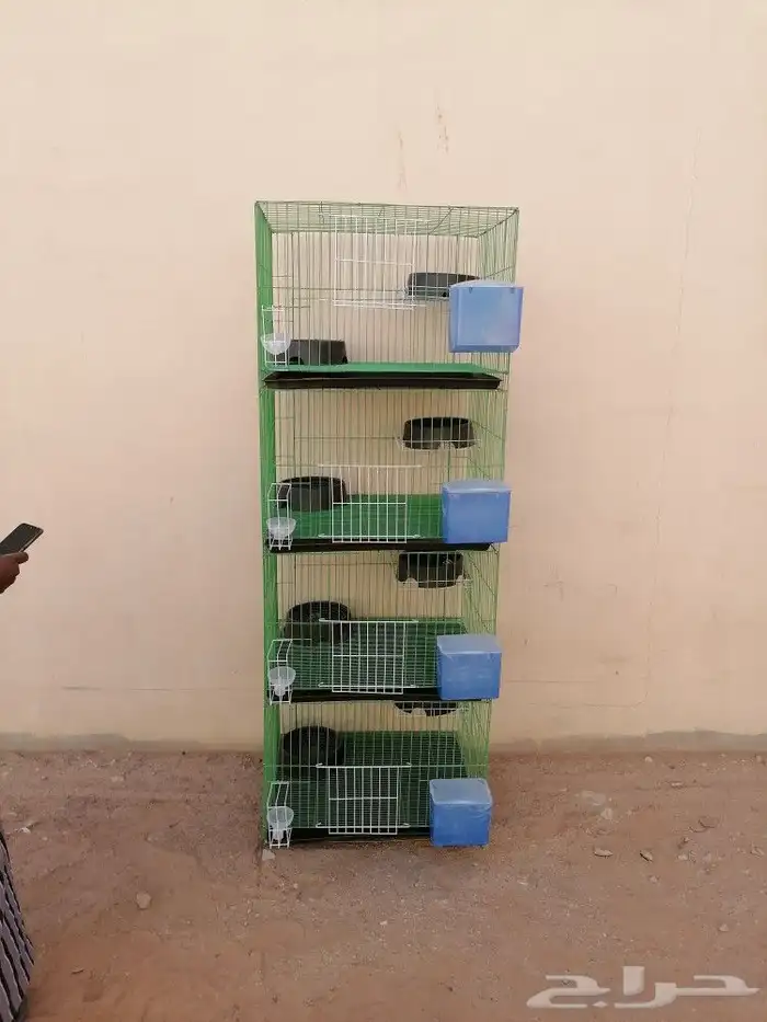 محاكر حمام وصوص دجاج 6