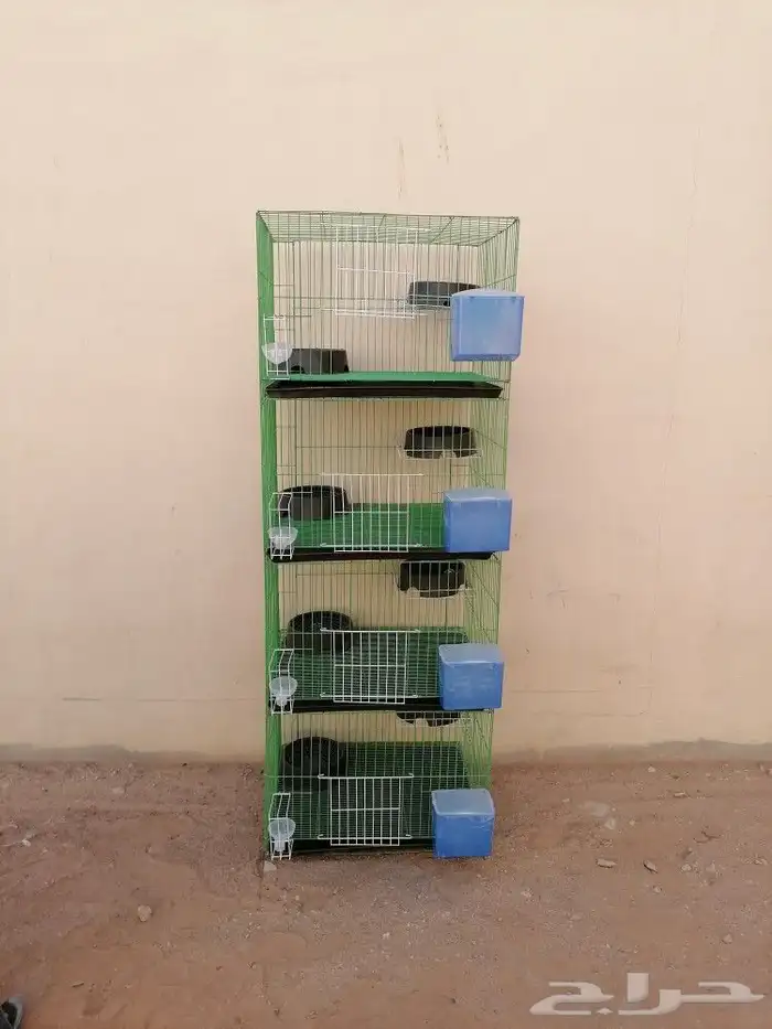 محاكر حمام وصوص دجاج 9