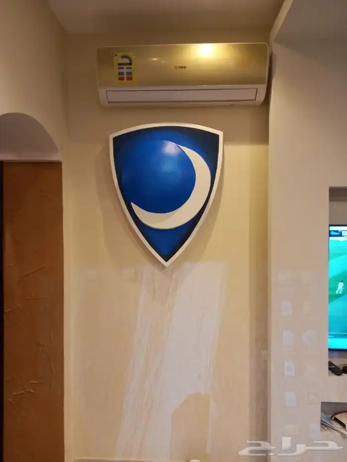 نحات متخصص ورسام ثلاثي الأبعاد 13