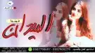استديو تنفيذ شيلات زواج 10