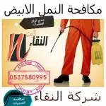 شركة مكافحة النمل الأبيض شركة مكافحة حشرات بجازان 0