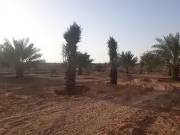 تركيب شبوك 5