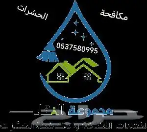 شركة مكافحة النمل الأبيض شركة مكافحة حشرات بجازان 1