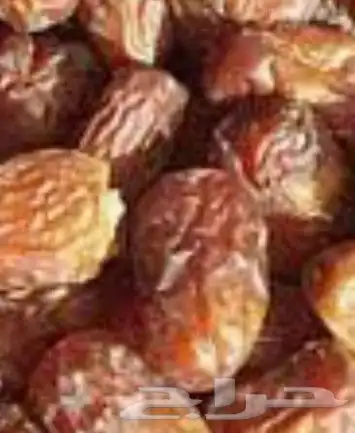 رطب وتمر البيض الفاخر عضوي 1