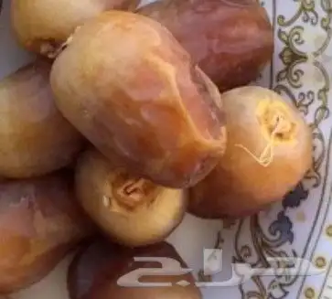 رطب وتمر البيض الفاخر عضوي 4