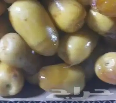 رطب وتمر البيض الفاخر عضوي 0
