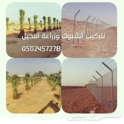 تركيب شبوك 0