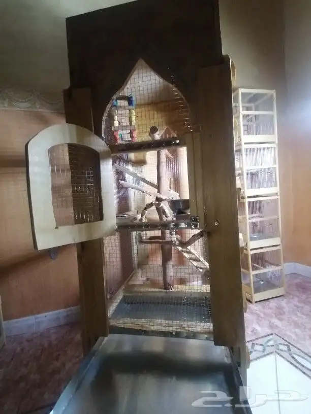 قفص للحسون والكناري وجميع طيور الزينه يوجد اشكال مختلفه 6
