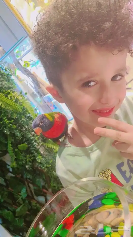 لوري اليف جدا جدا جدا متكلم (((تم البيع ))) 18