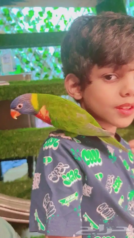 لوري اليف جدا جدا جدا متكلم (((تم البيع ))) 17