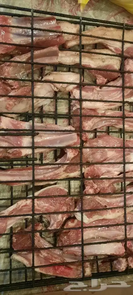 معلم شوي خارجي 3