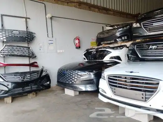 شمعات ازيرا سوناتا كادنزا جنسس اصلي وكاله 6