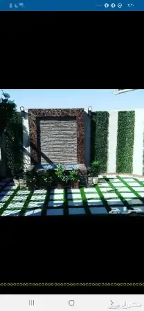 تكسيات جدارىه وعشب جدارى باقل الاسعار 15