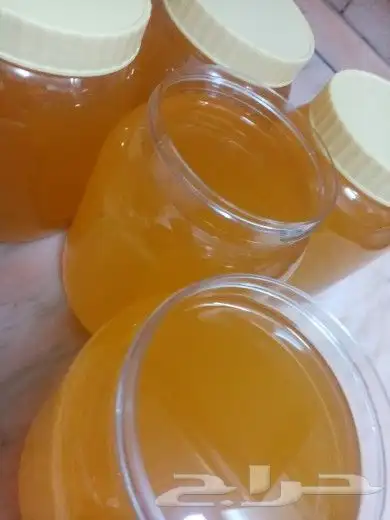 سمن غنم صافي بدون اضافات 0