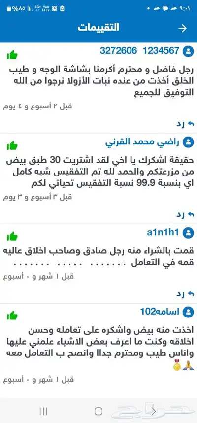 صوص بلدي فواتح 17