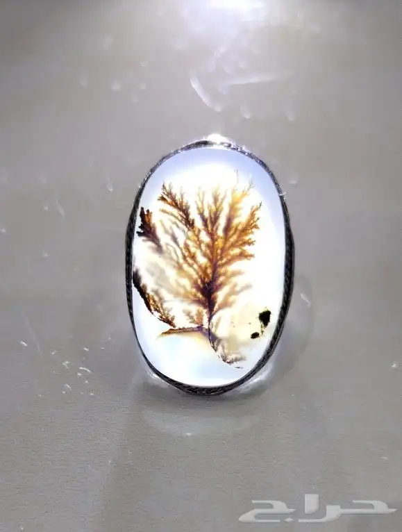 خاتم عقيق شجري 1