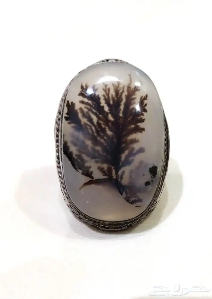 خاتم عقيق شجري 0