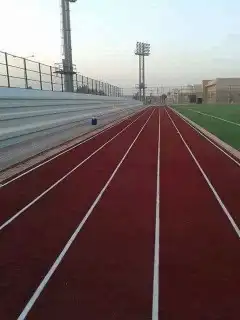 إنشاء ملاعب كرة القدم بالعشب الصناعي وارضيات مطاطية 2