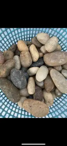 مشاتل الرياض 9