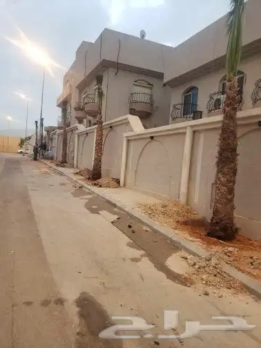 زراعة انخيل بجميع مقاساته 3