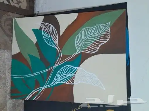 رسام جدران جدة ومكه والمدينة المنورة 3