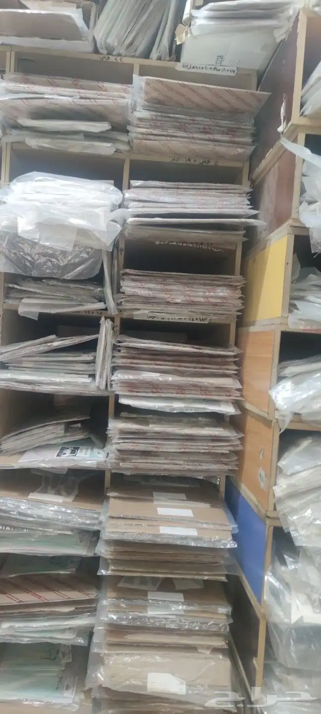 خطوط سيارات اصلي وكاله على الشرط 8