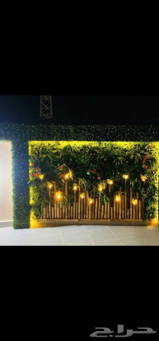 عشب جدارى عشب ارضى 5