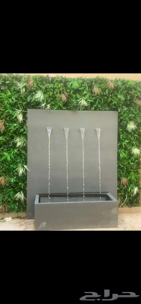 عشب جدارى عشب ارضى 3